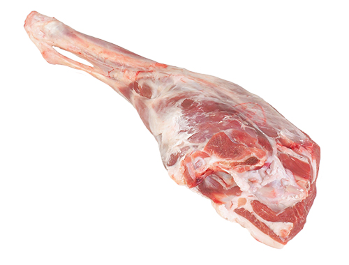 cosciainteraagnello